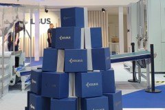 WOW_Rigd-Box-Line